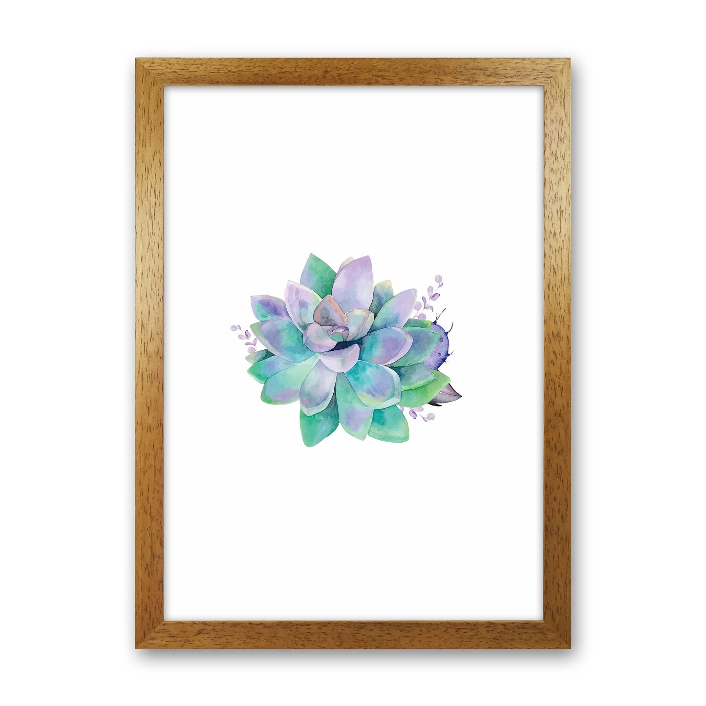 Aqua Succulent Botanical Art Print by Seven Trees Design Oak Grain