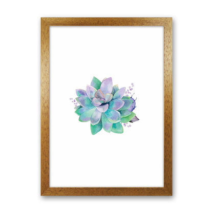 Aqua Succulent Botanical Art Print by Seven Trees Design Oak Grain