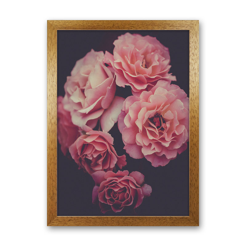 Dreamy Roses Art Print by Seven Trees Design Oak Grain