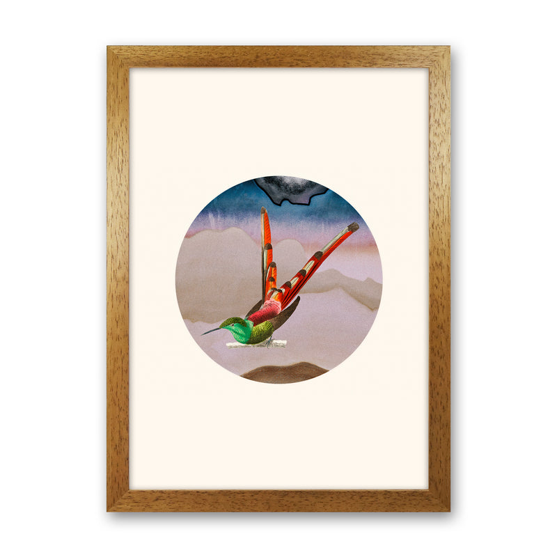 Bird Collage I Art Print by Seven Trees Design Oak Grain