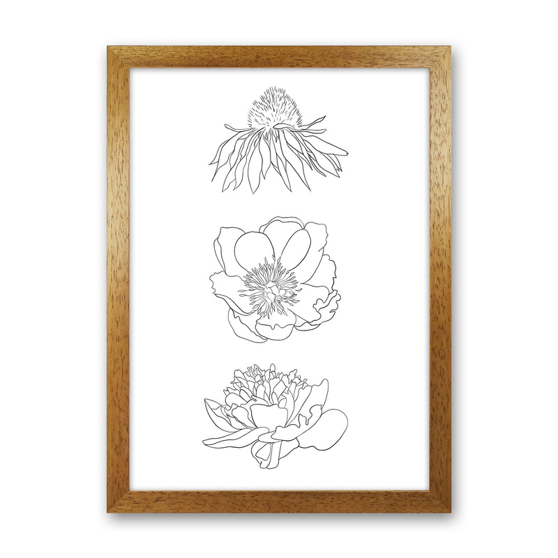 Hand Drawn Flowers Art Print by Seven Trees Design Oak Grain
