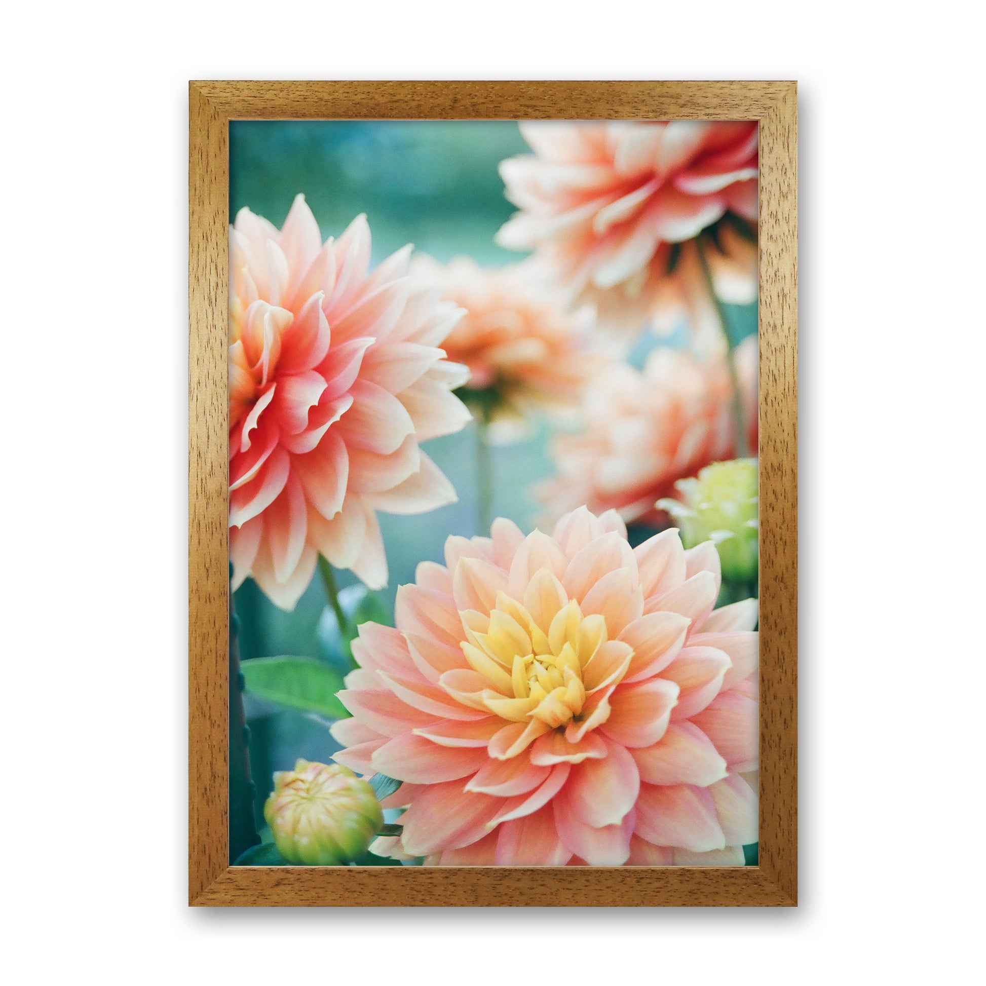 Happy Flowers Photography Art Print by Seven Trees Design Oak Grain