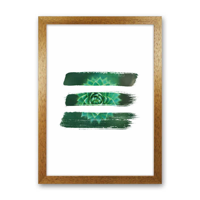 Modern Succulent I Art Print by Seven Trees Design Oak Grain