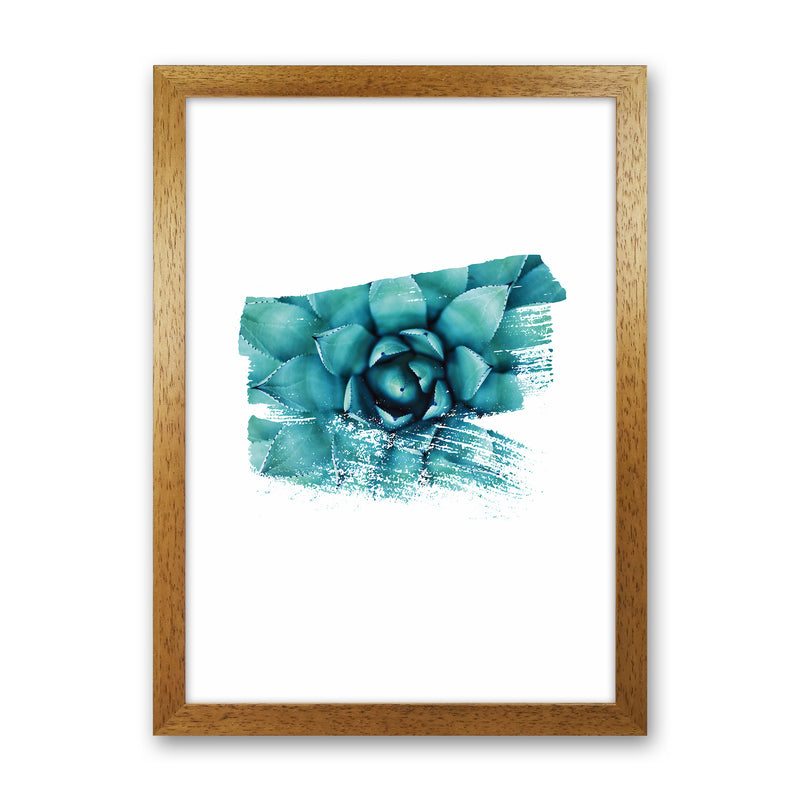 Modern Succulent II Art Print by Seven Trees Design Oak Grain