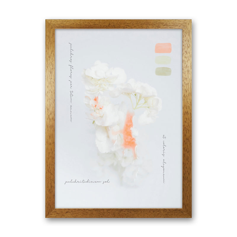 Modern Vintage Botanic Art Print by Seven Trees Design Oak Grain