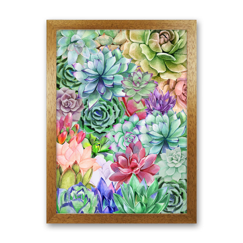 Succulents Paradise Botanical Art Print by Seven Trees Design Oak Grain