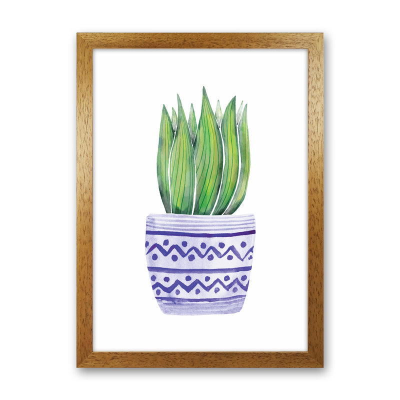 The Blue Succulent Art Print by Seven Trees Design Oak Grain