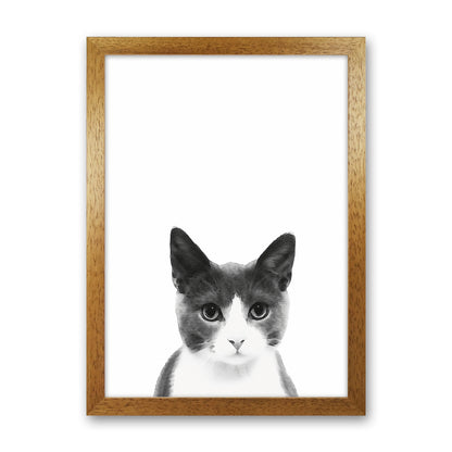 Watercolor Cat Art Print by Seven Trees Design Oak Grain