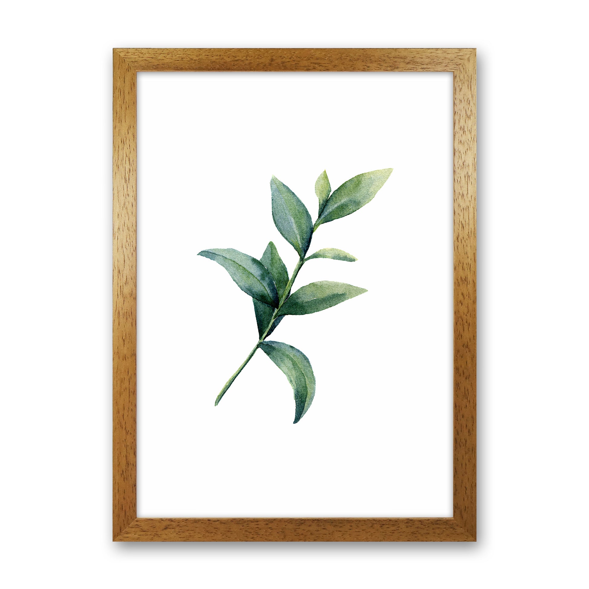Watercolor Eucalyptus II Art Print by Seven Trees Design Oak Grain