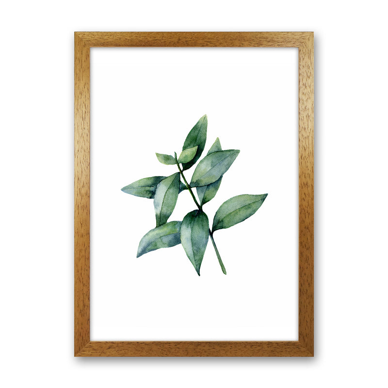 Watercolor Eucalyptus III Art Print by Seven Trees Design Oak Grain