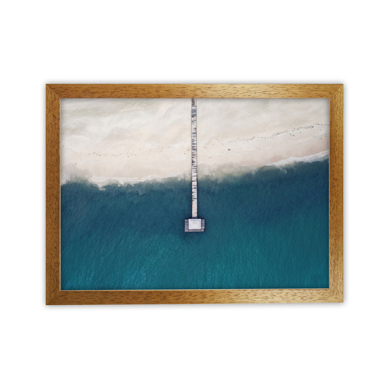 The bay from the sky Art Print by Seven Trees Design Oak Grain