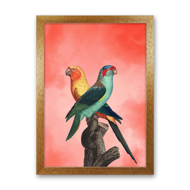The Birds and the pink sky I Art Print by Seven Trees Design Oak Grain