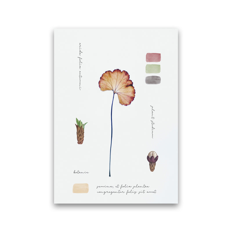 Botanic Notes Art Print by Seven Trees Design Print Only