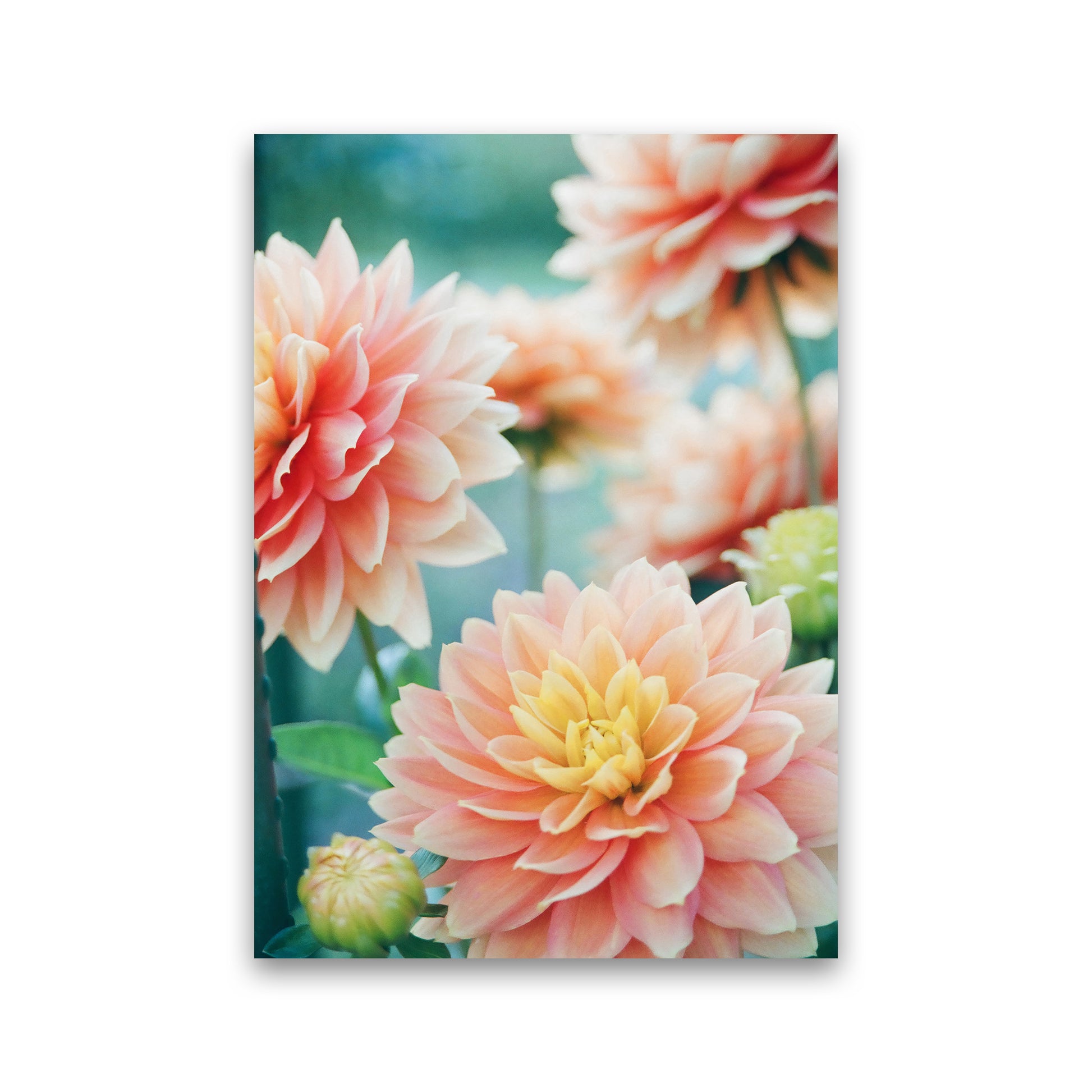 Happy Flowers Photography Art Print by Seven Trees Design Print Only