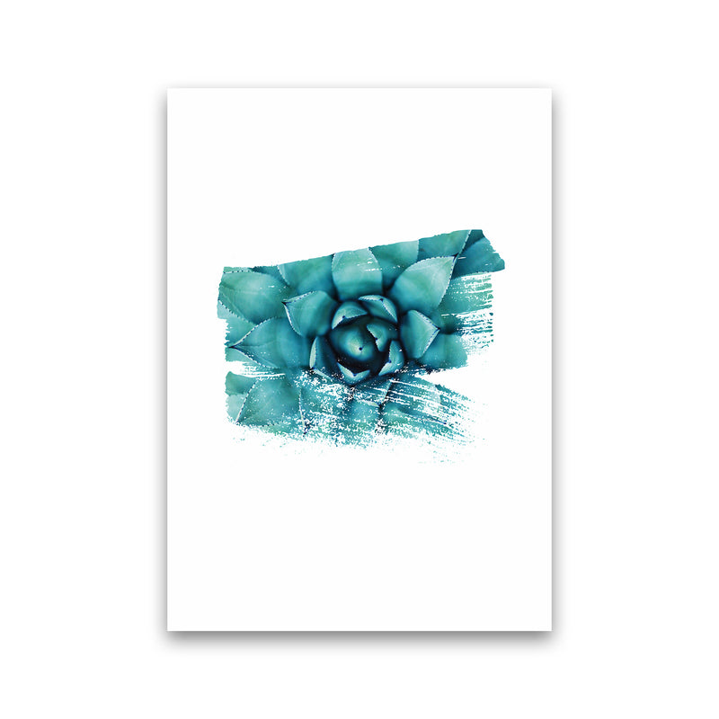 Modern Succulent II Art Print by Seven Trees Design Print Only