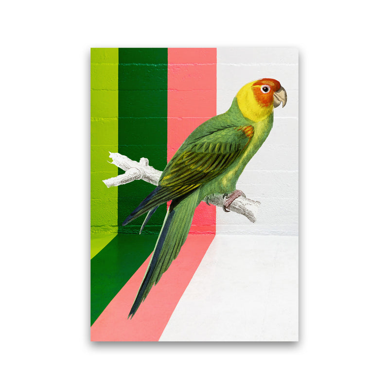 Graffiti Bird Art Print by Seven Trees Design Print Only
