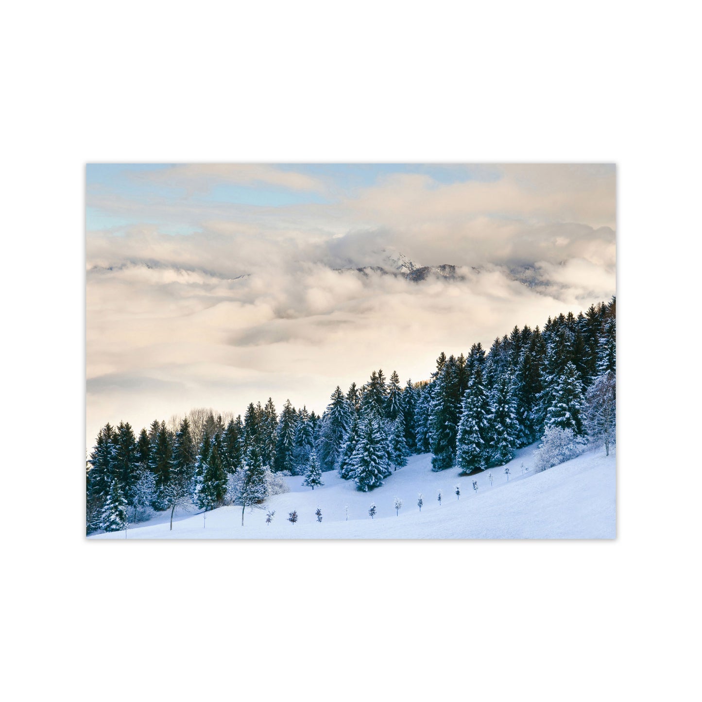 Pines in the sky Art Print by Seven Trees Design Print Only