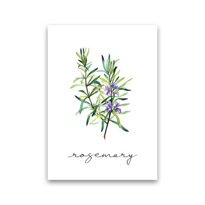 Rosemary Art Print by Seven Trees Design Print Only