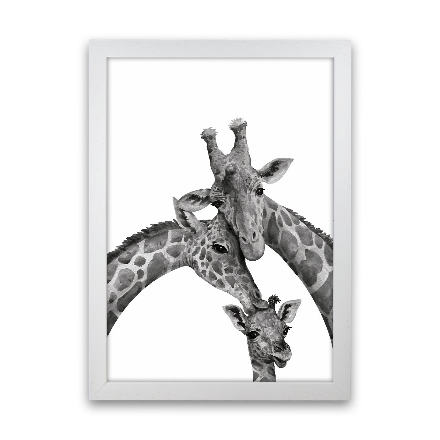 Giraffe Family Photography Art Print by Seven Trees Design White Grain