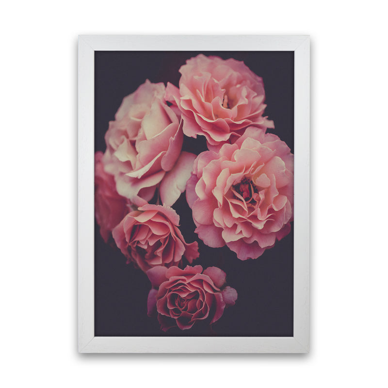 Dreamy Roses Art Print by Seven Trees Design White Grain