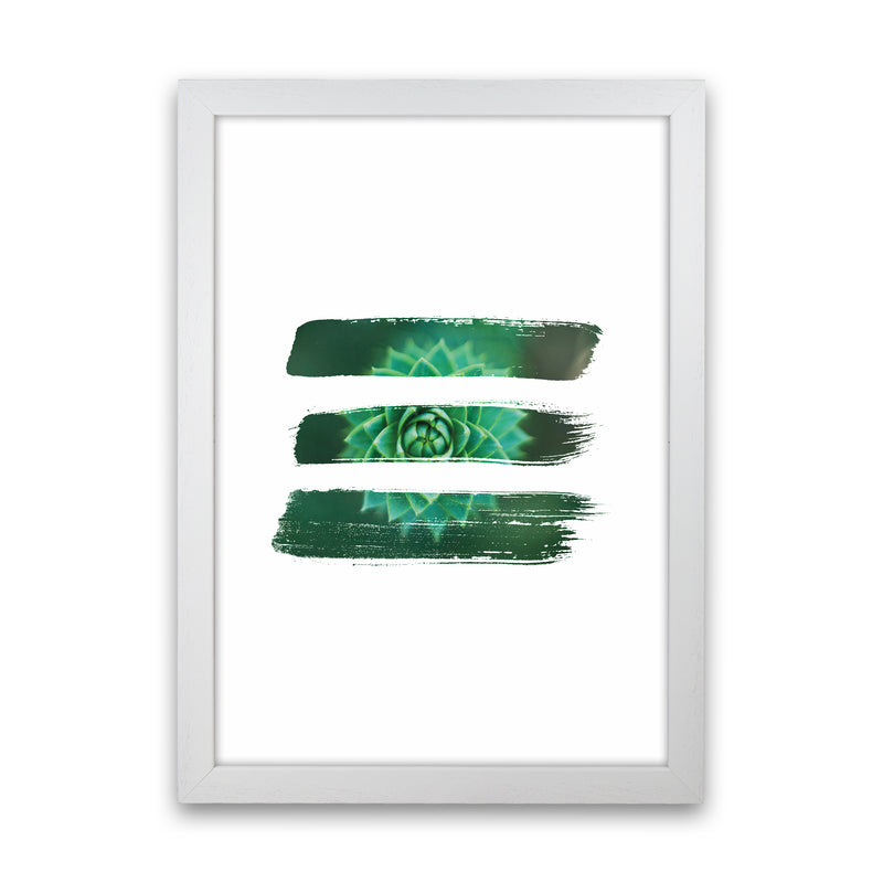Modern Succulent I Art Print by Seven Trees Design White Grain