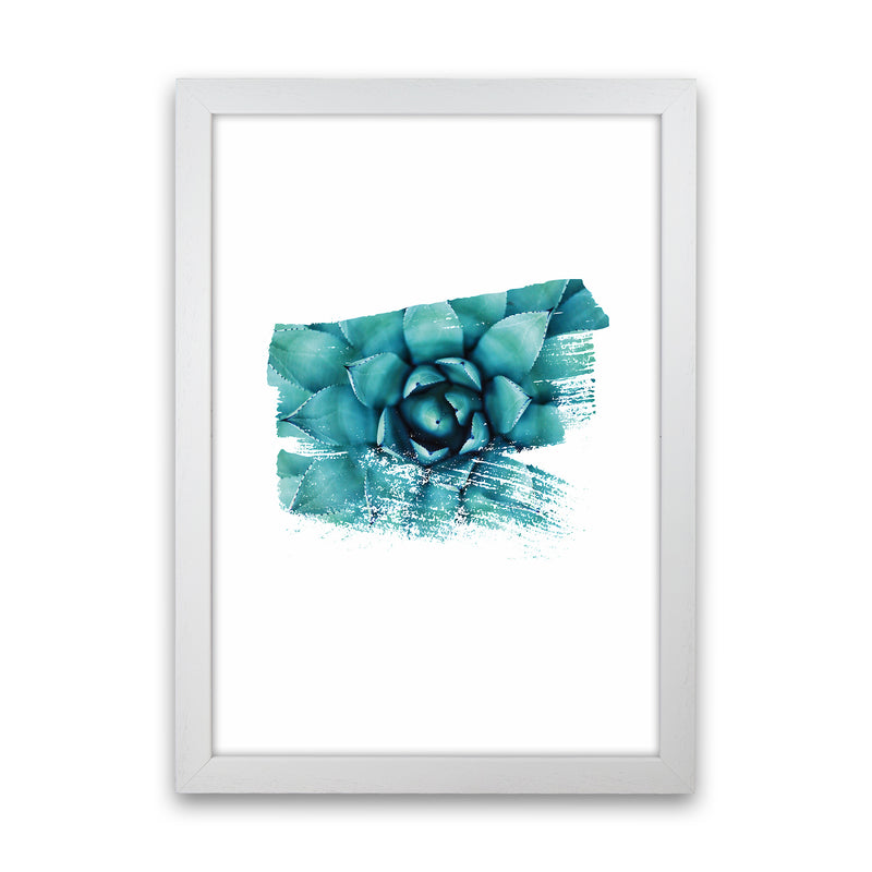 Modern Succulent II Art Print by Seven Trees Design White Grain