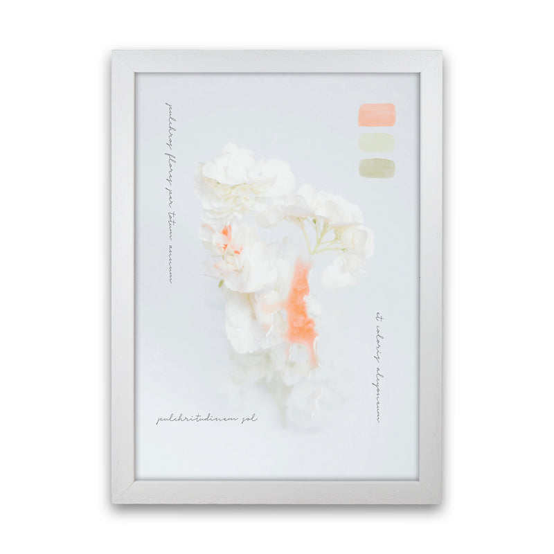 Modern Vintage Botanic Art Print by Seven Trees Design White Grain