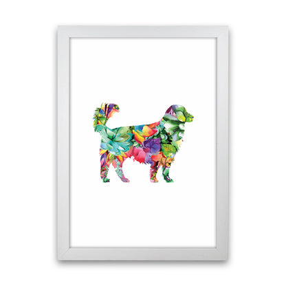 Succulents Dog Animal Art Print by Seven Trees Design White Grain