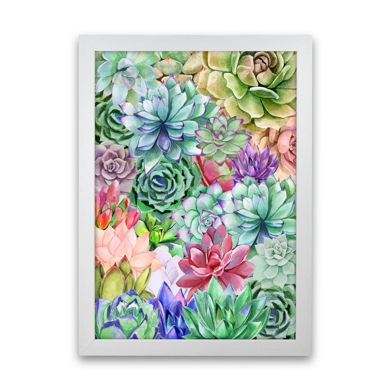 Succulents Paradise Botanical Art Print by Seven Trees Design White Grain