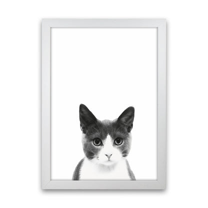 Watercolor Cat Art Print by Seven Trees Design White Grain