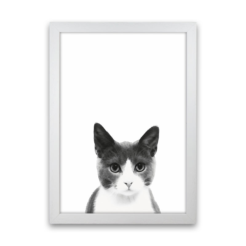 Watercolor Cat Art Print by Seven Trees Design White Grain