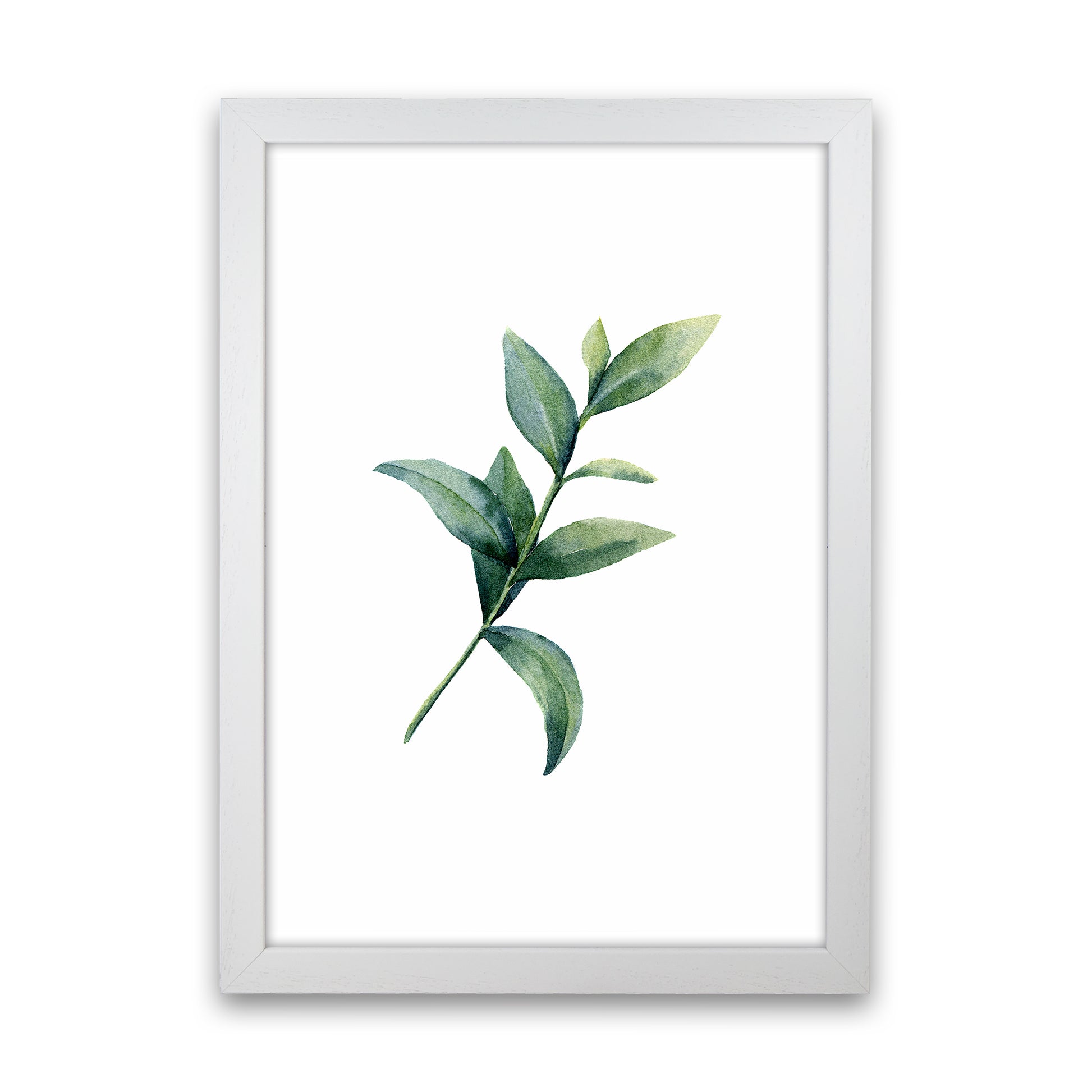 Watercolor Eucalyptus II Art Print by Seven Trees Design White Grain