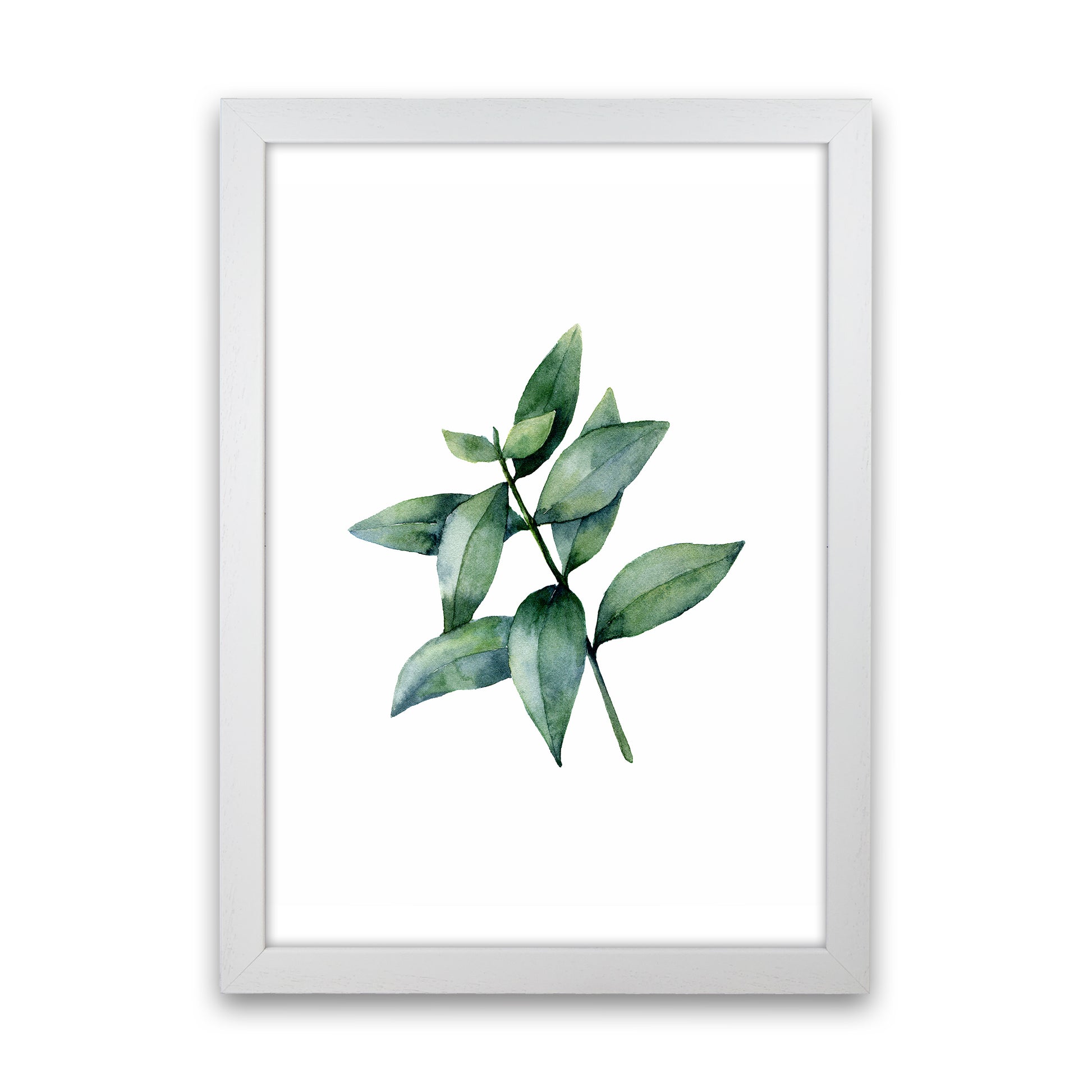 Watercolor Eucalyptus III Art Print by Seven Trees Design White Grain