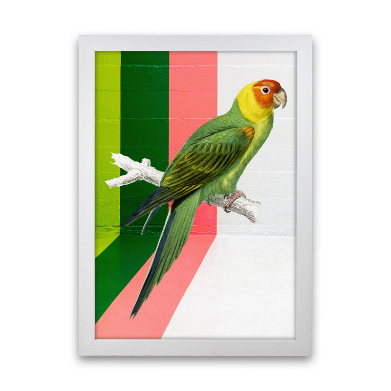 Graffiti Bird Art Print by Seven Trees Design White Grain
