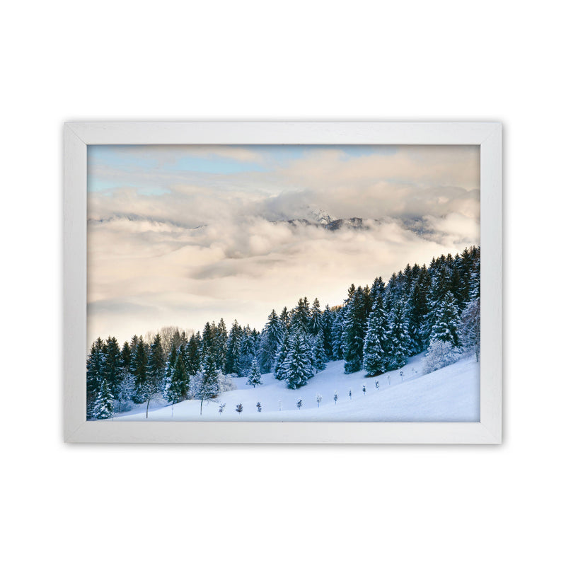 Pines in the sky Art Print by Seven Trees Design White Grain