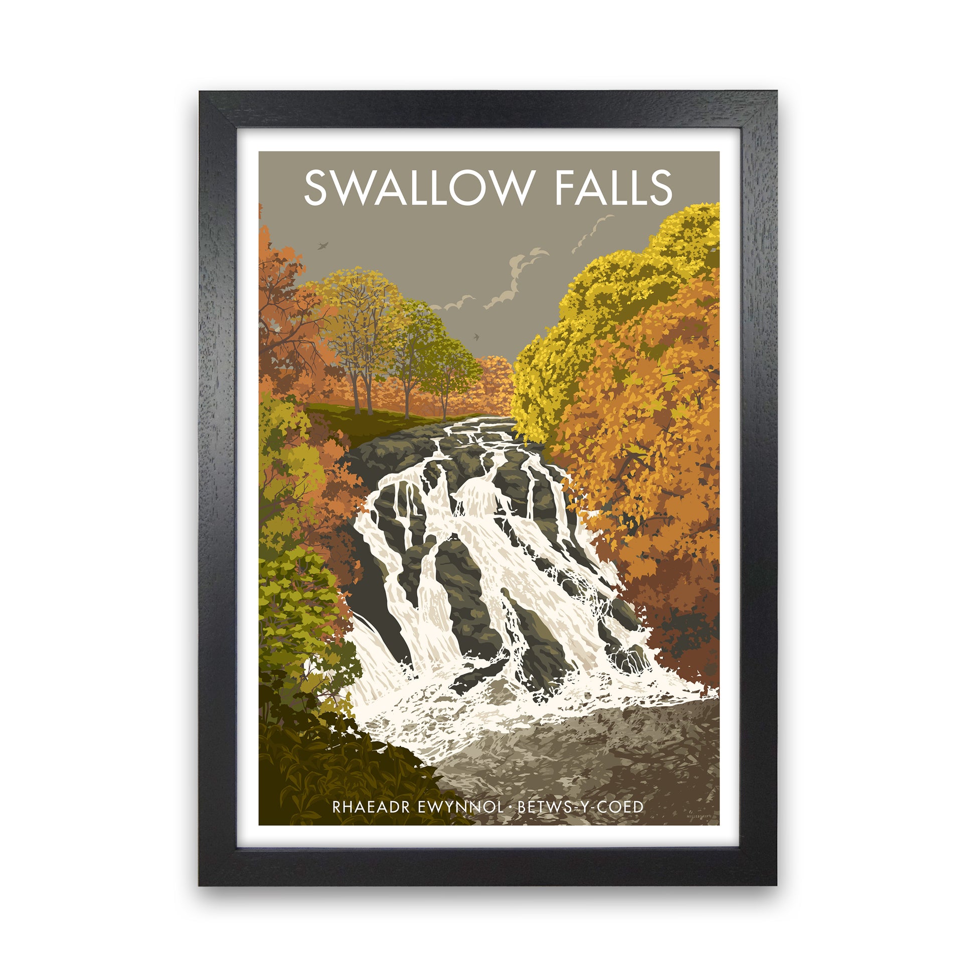 Wales Swallow Falls Art Print by Stephen Millership Black Grain