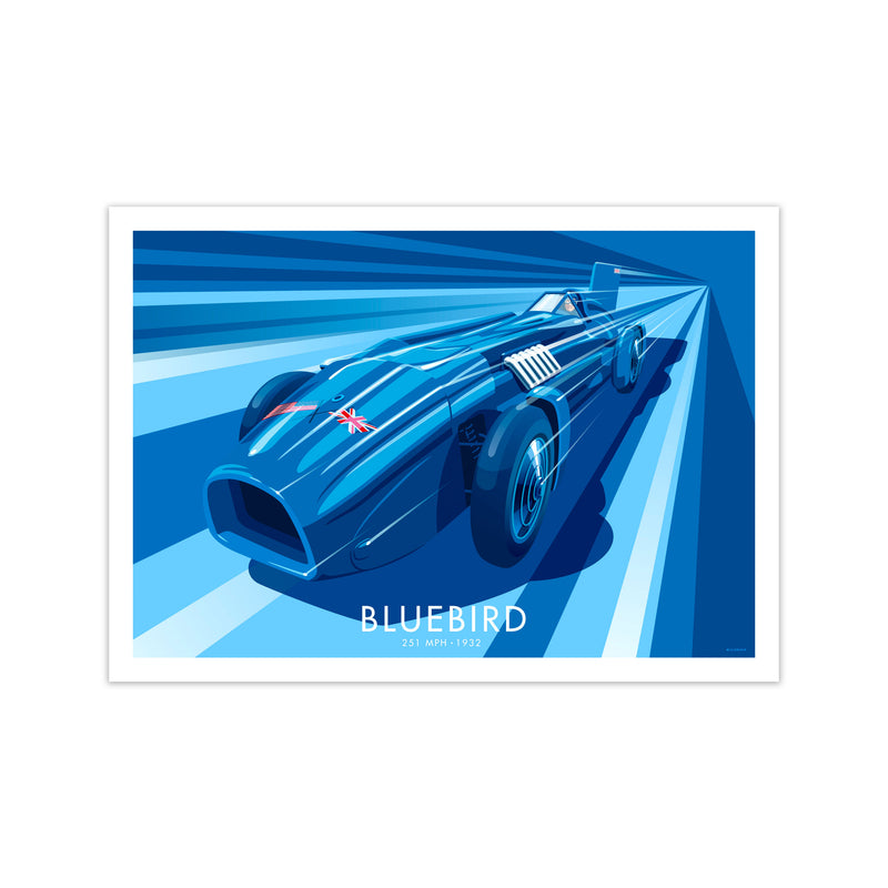 Bluebird Art Print by Stephen Millership, Framed Transport Print Print Only