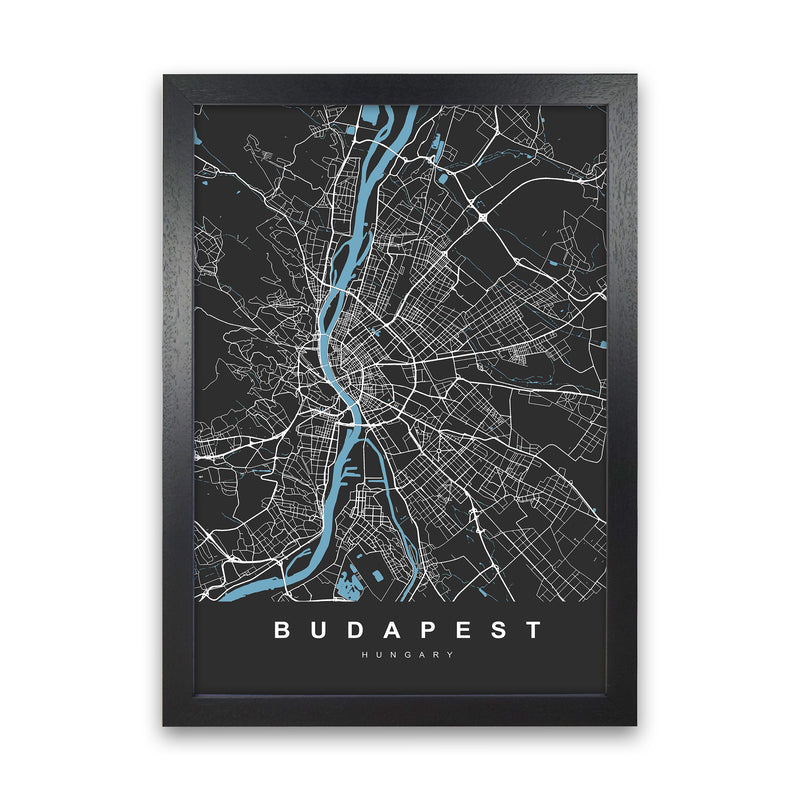 Budapest Art Print by UrbanMaps Black Grain