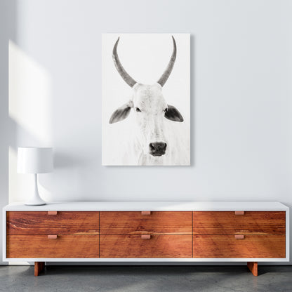 White Cow I Photography Print by Victoria Frost A1 Canvas