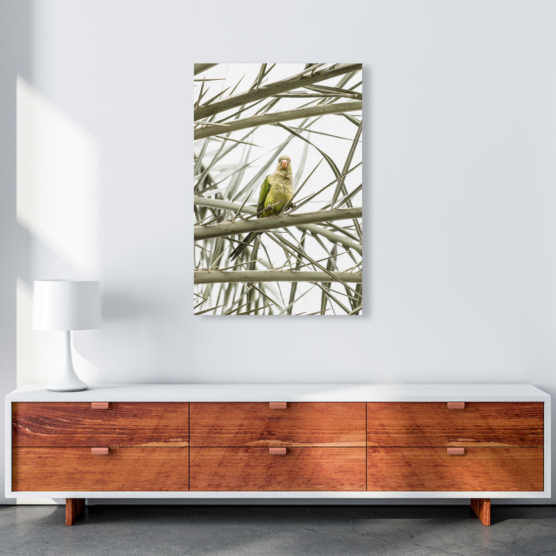 Parrot Photography Print by Victoria Frost A1 Canvas
