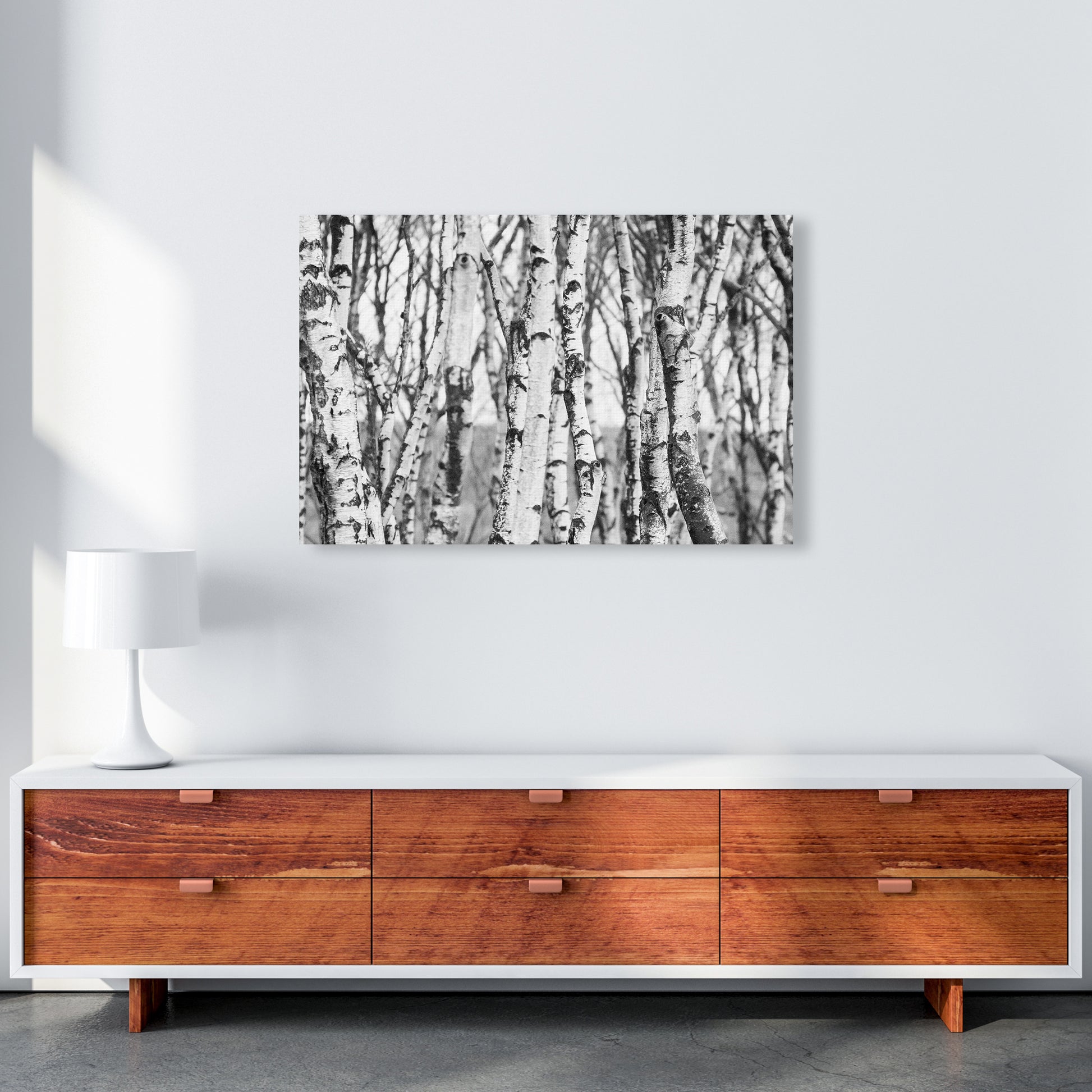 Off the beaten path Photography Print by Victoria Frost A1 Canvas