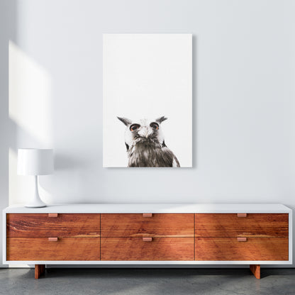 Lil Owl Photography Print by Victoria Frost A1 Canvas