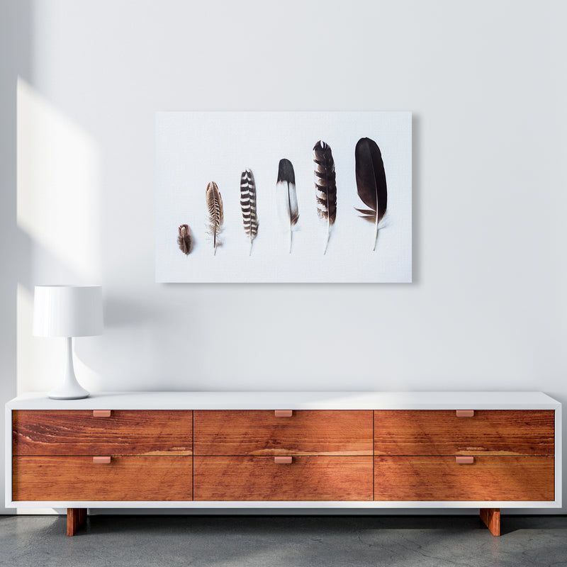 Feathers II Photography Print by Victoria Frost A1 Canvas