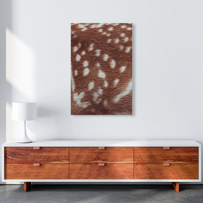 Deer skin Photography Print by Victoria Frost A1 Canvas