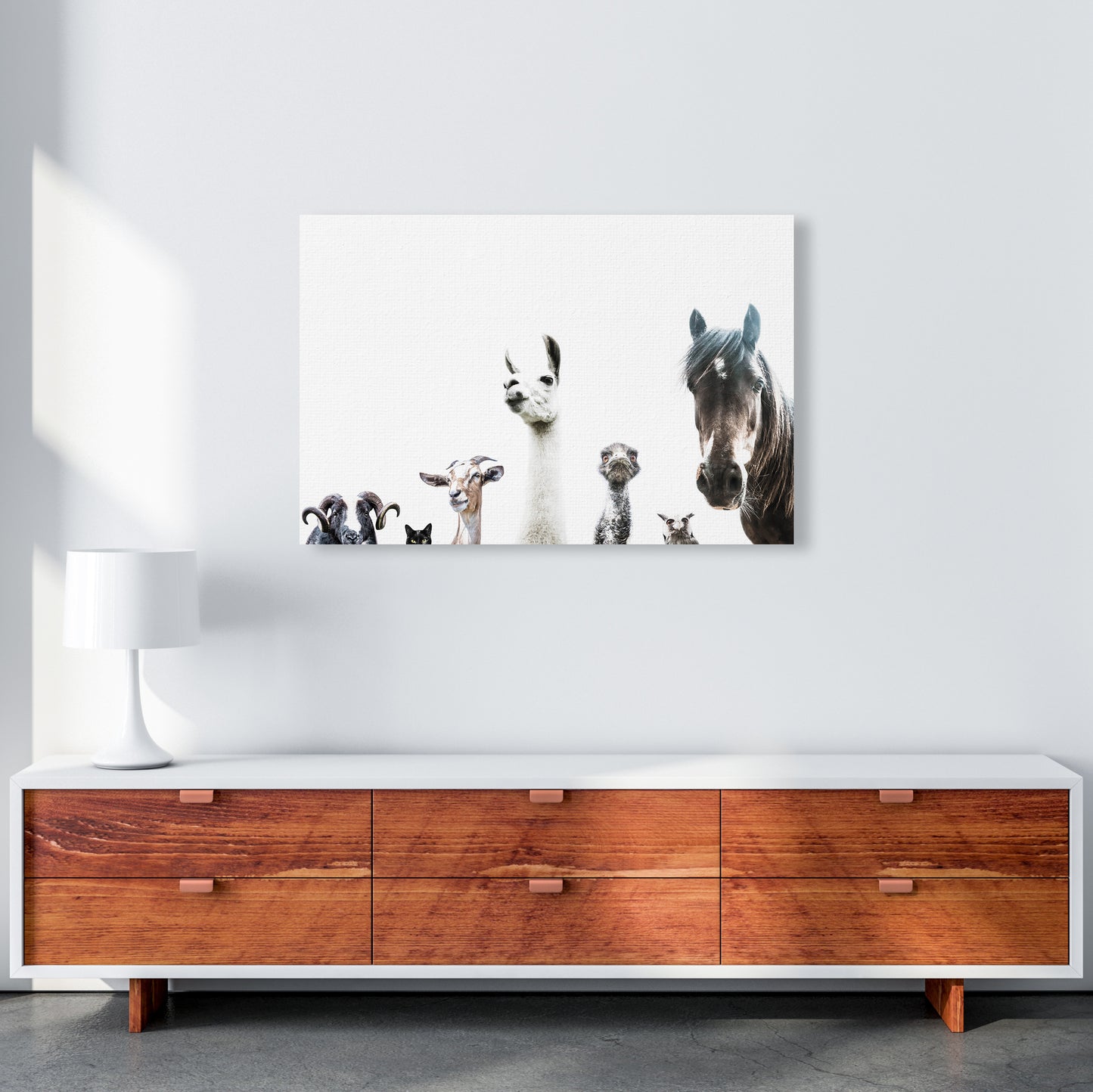Animal Crew Photography Print by Victoria Frost A1 Canvas