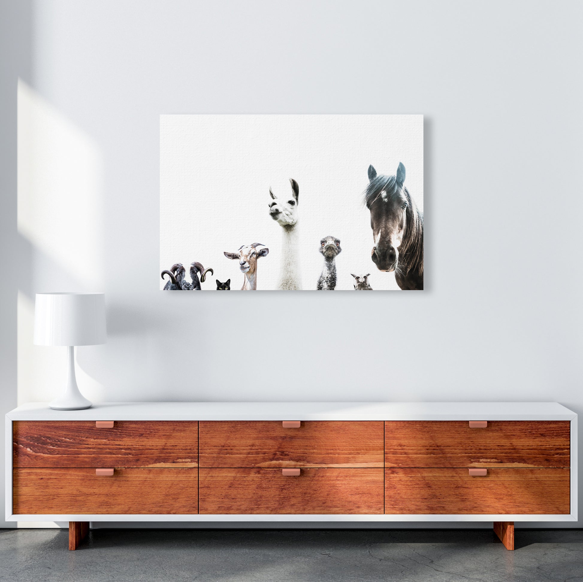 Animal Crew Photography Print by Victoria Frost A1 Canvas