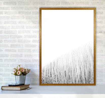 White Horse I Photography Print by Victoria Frost A1 Print Only
