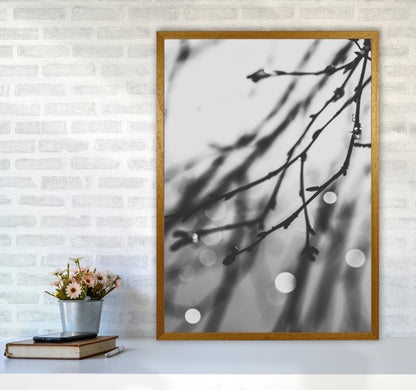 Twilight II Photography Print by Victoria Frost A1 Print Only