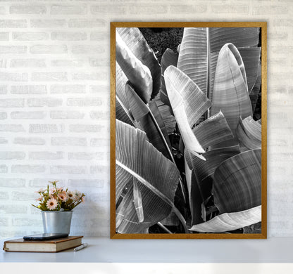 Palms Leafs Photography Print by Victoria Frost A1 Print Only