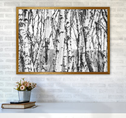Off the beaten path Photography Print by Victoria Frost A1 Print Only